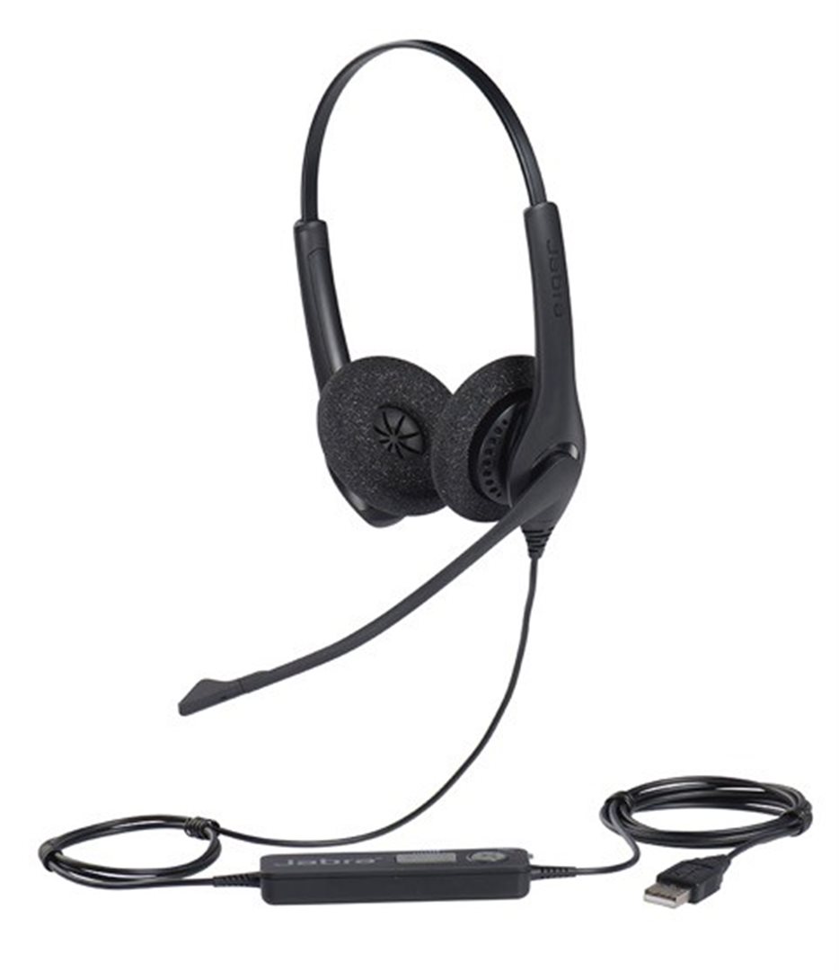 Jabra Biz 1500 USB Duo image