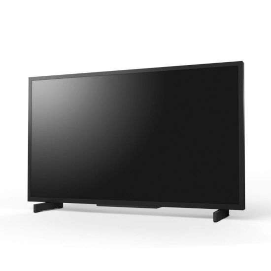 Sony Bravia BZ30L - 55 pouces