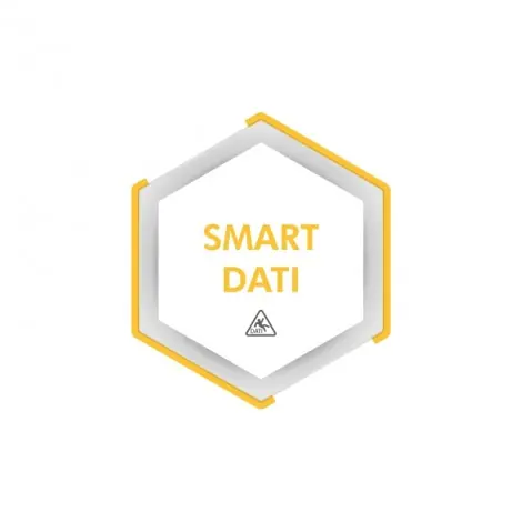 Logotipo del servicio de aplicación SMART-DATI